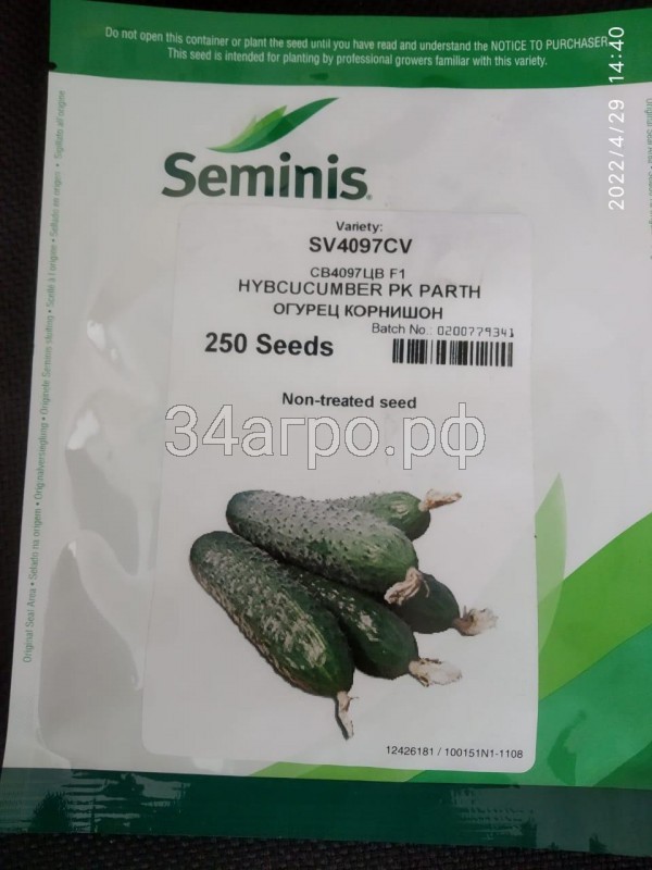 Огурец СВ 4097 ЦВ F1 250 семян