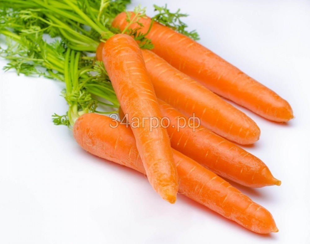 Морковь Без сердцевины 50 гр.
