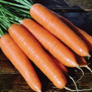 Морковь Роте Ризен (Красный Великан) 1 кг