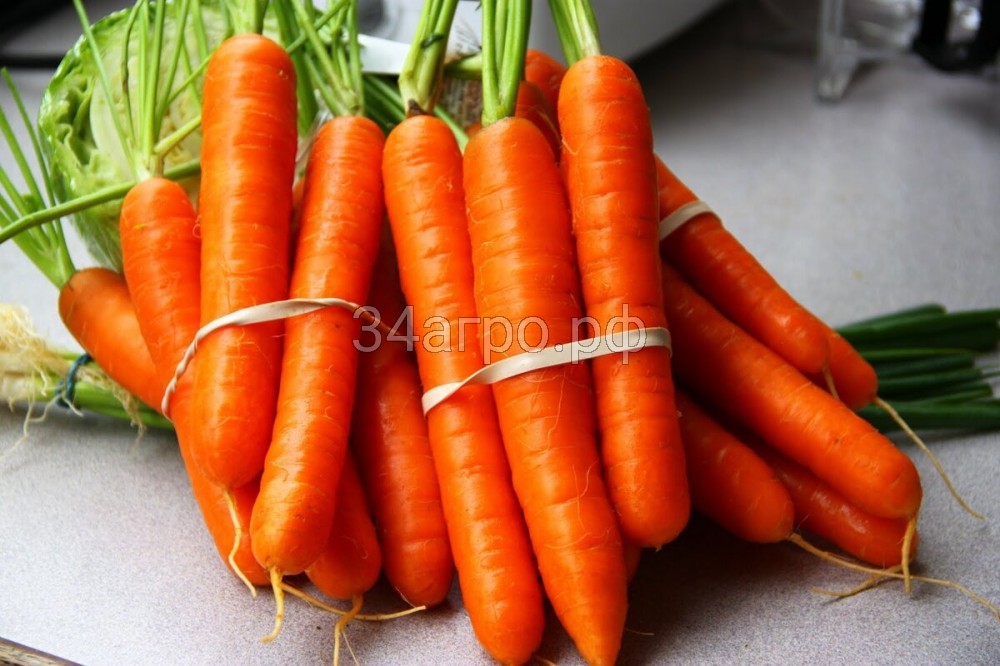Морковь Тушон 100 гр.