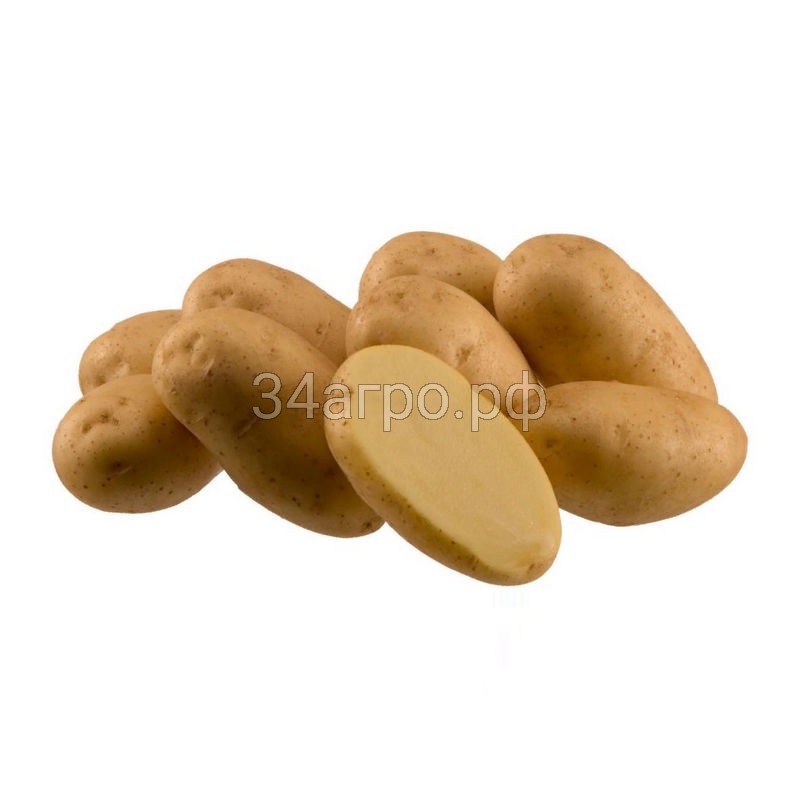 Семенной картофель Импала Сетка-5 кг