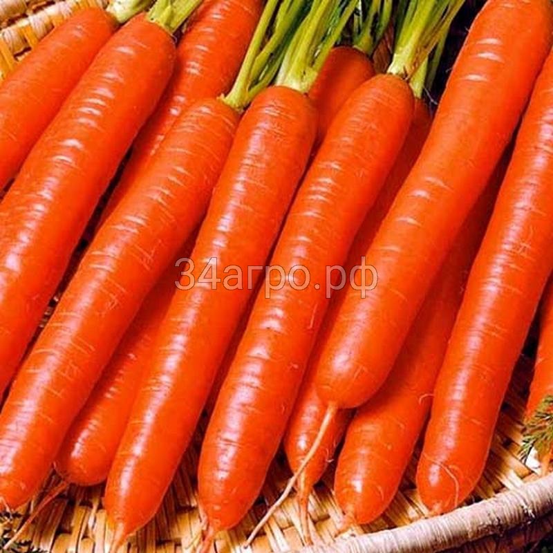 Морковь Витаминная 6 20 гр