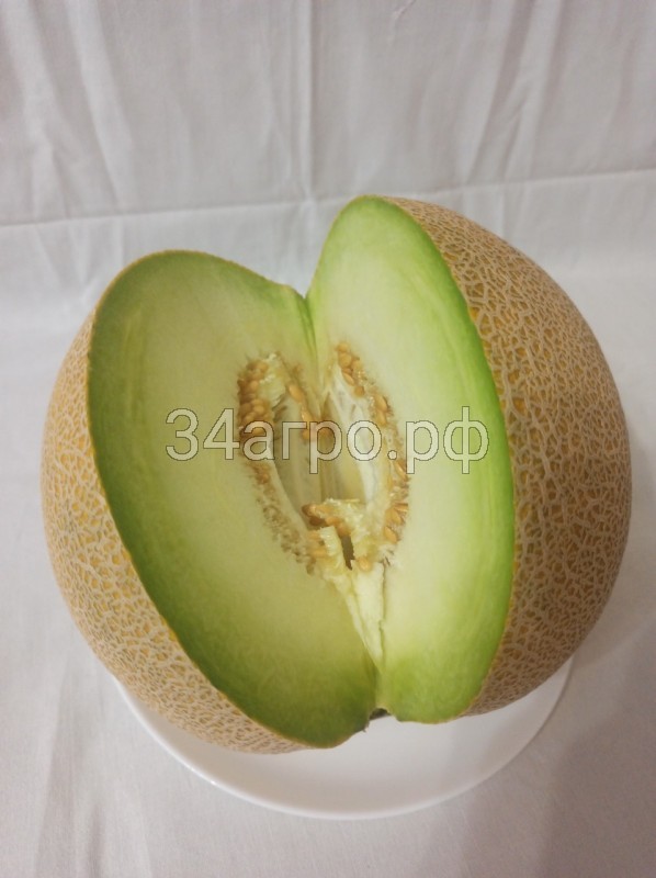 Дыня Ванда F1 (KS 517) 25 семян