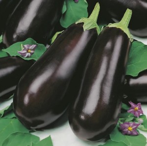 Баклажан Универсал 6 50 гр.