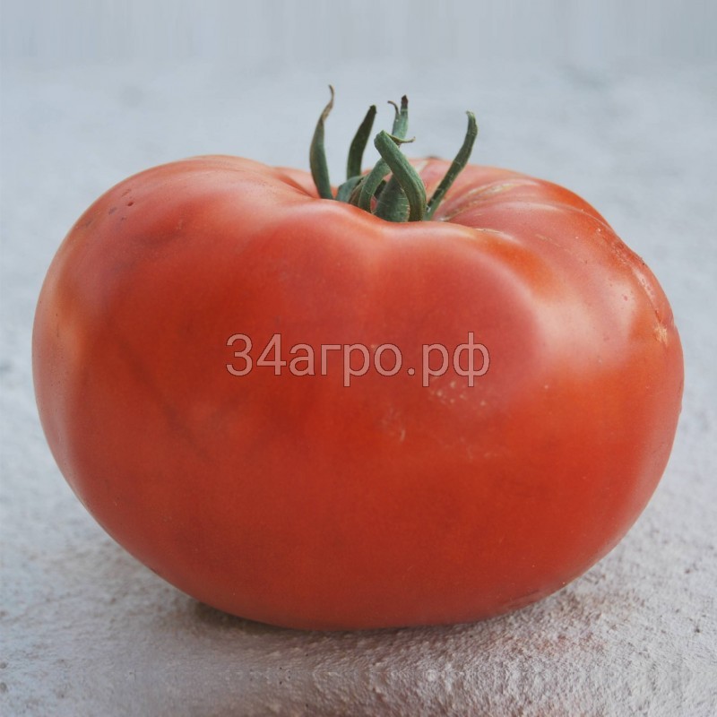 Томат Чудо Рынка 100 гр.