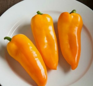 Перец Янтарь 20 гр.